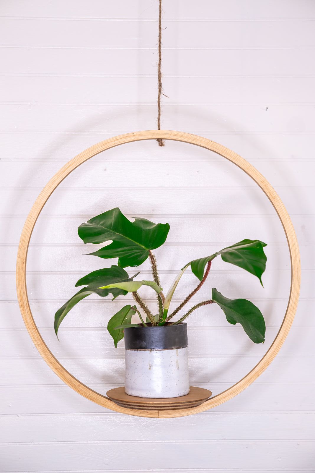 Bubble Hanger Bundle, Wooden Plant Hanger, Circle Hanger, Planter With Saucer, Air Plant Hanger, Boho, Mid Century Modern Planter