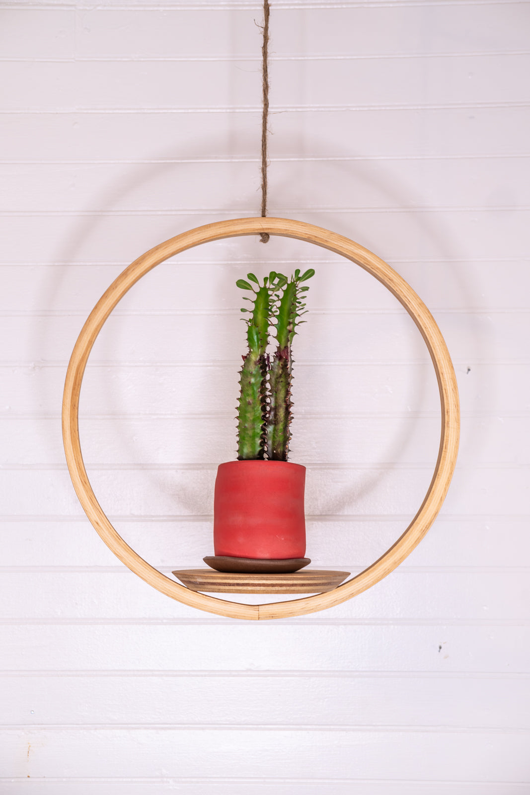 Bubble Hanger Bundle, Wooden Plant Hanger, Circle Hanger, Planter With Saucer, Air Plant Hanger, Boho, Mid Century Modern Planter