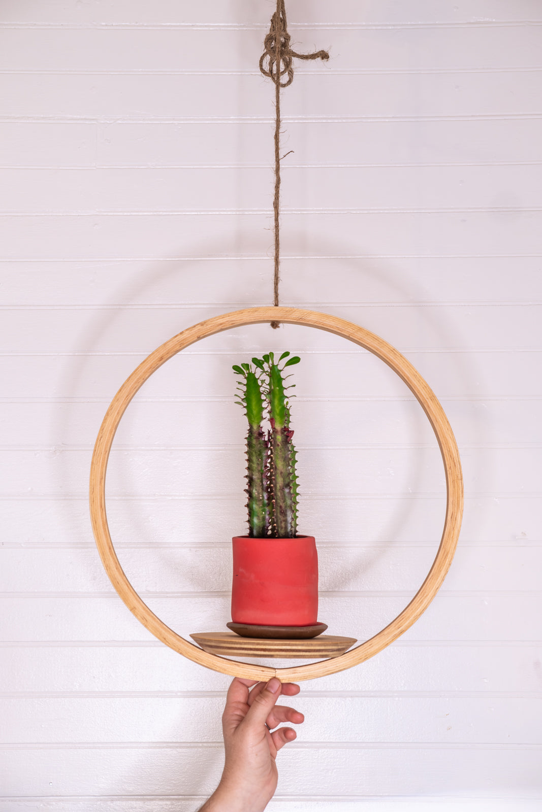 Bubble Hanger Bundle, Wooden Plant Hanger, Circle Hanger, Planter With Saucer, Air Plant Hanger, Boho, Mid Century Modern Planter