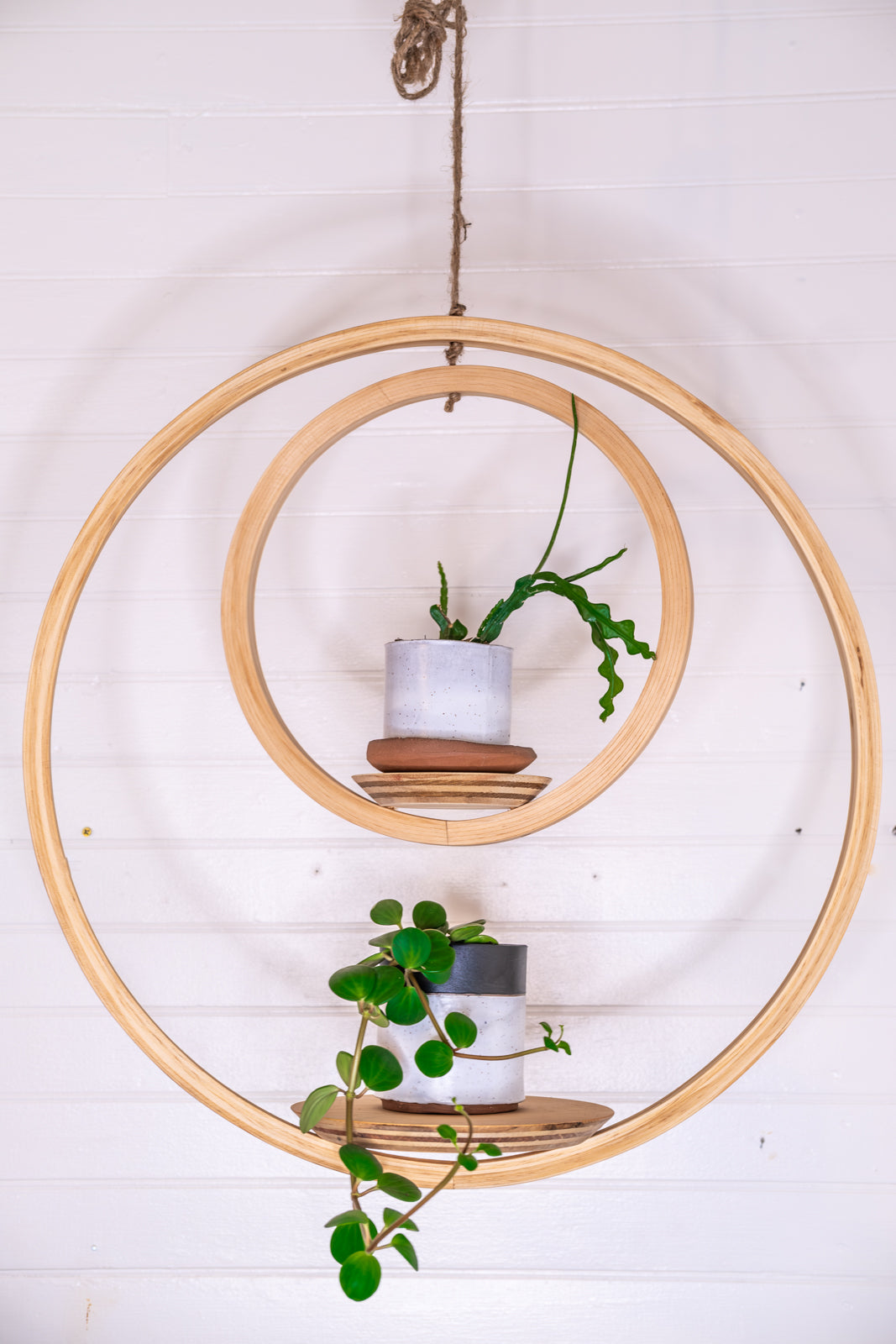 Large, Double Bubble Plant Hanger