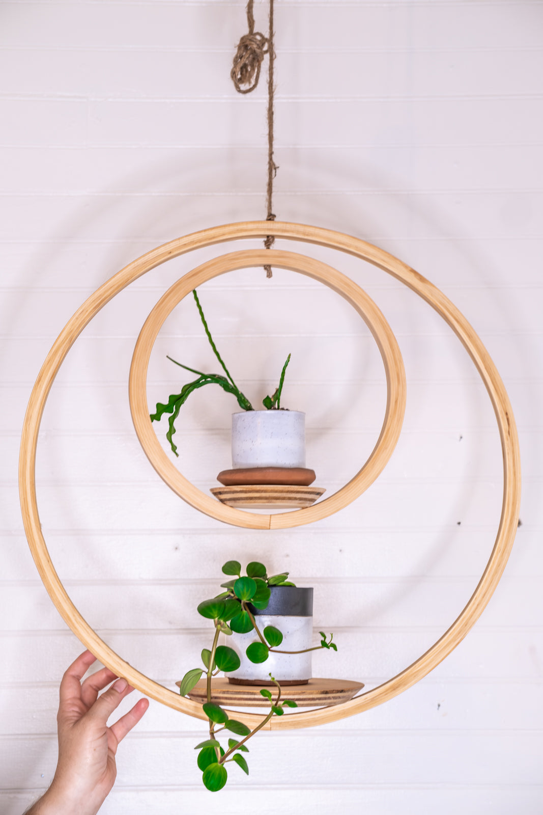 Large, Double Bubble Plant Hanger