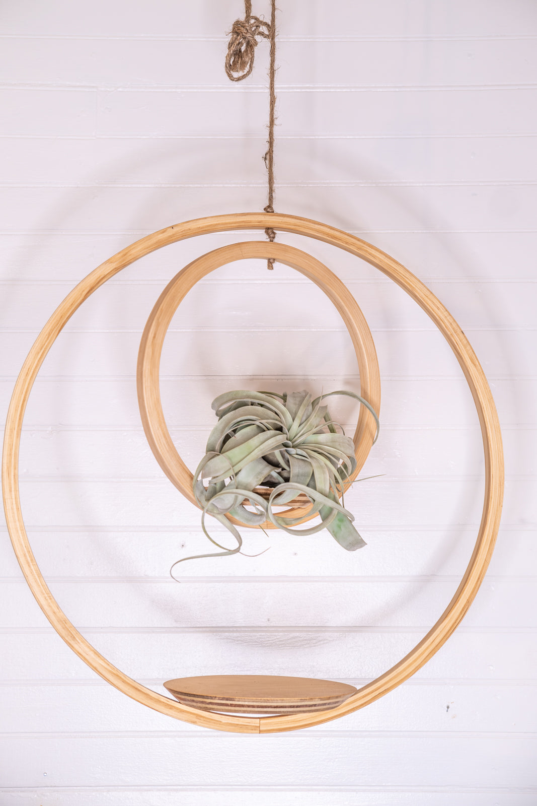 Large, Double Bubble Plant Hanger