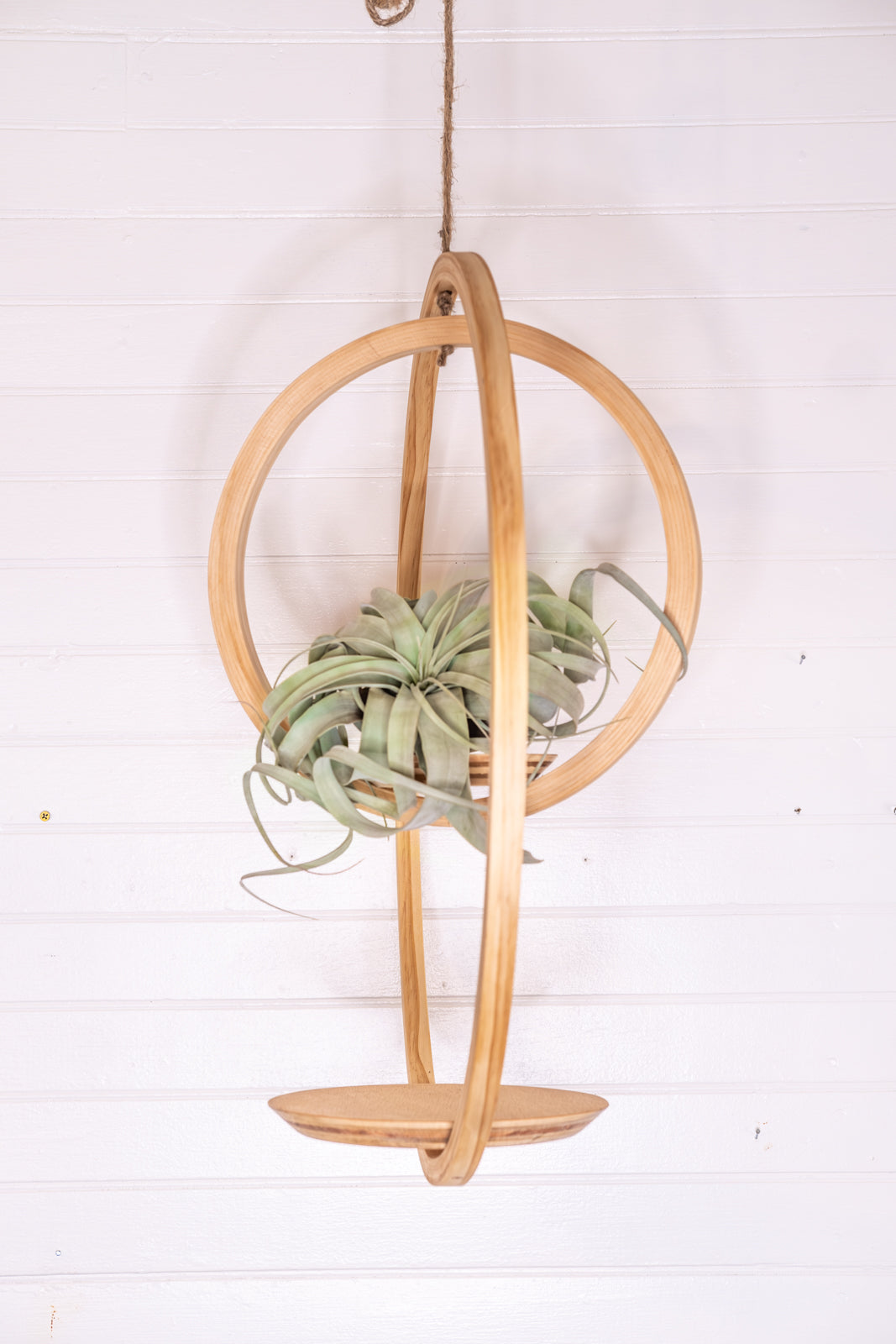 Large, Double Bubble Plant Hanger