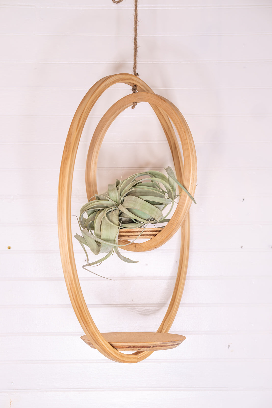 Large, Double Bubble Plant Hanger