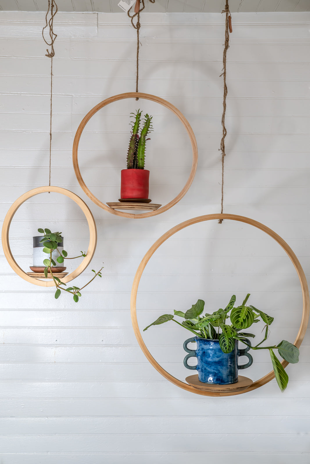 Large Bubble Hanging Planter, Bubble Plant Hanger, Planter With Saucer, Air Planter Hanger, Vintage Plant Hanger, Hanging Circle Planter (