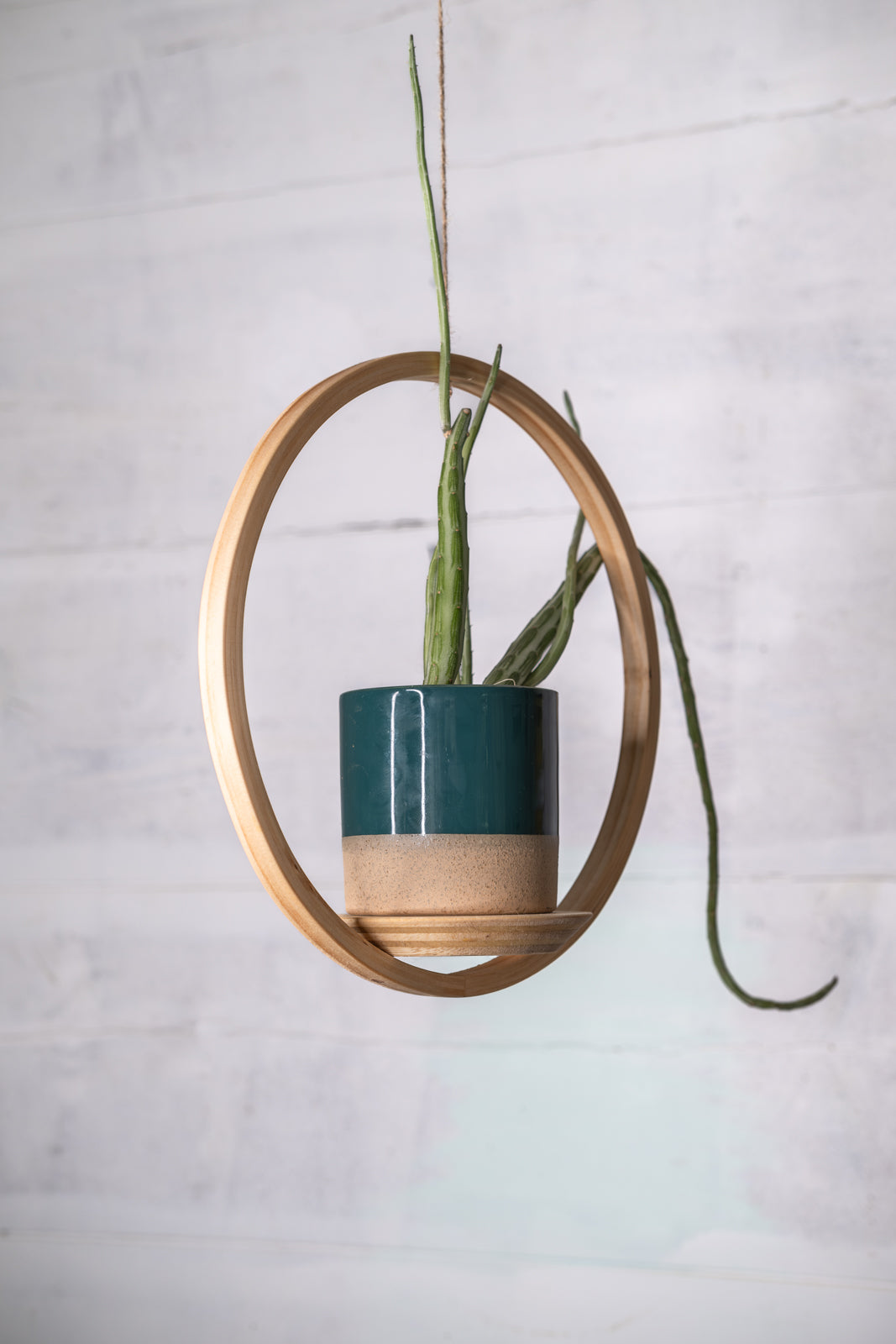 Bubble Hanger Bundle, Wooden Plant Hanger, Circle Hanger, Planter With Saucer, Air Plant Hanger, Boho, Mid Century Modern Planter