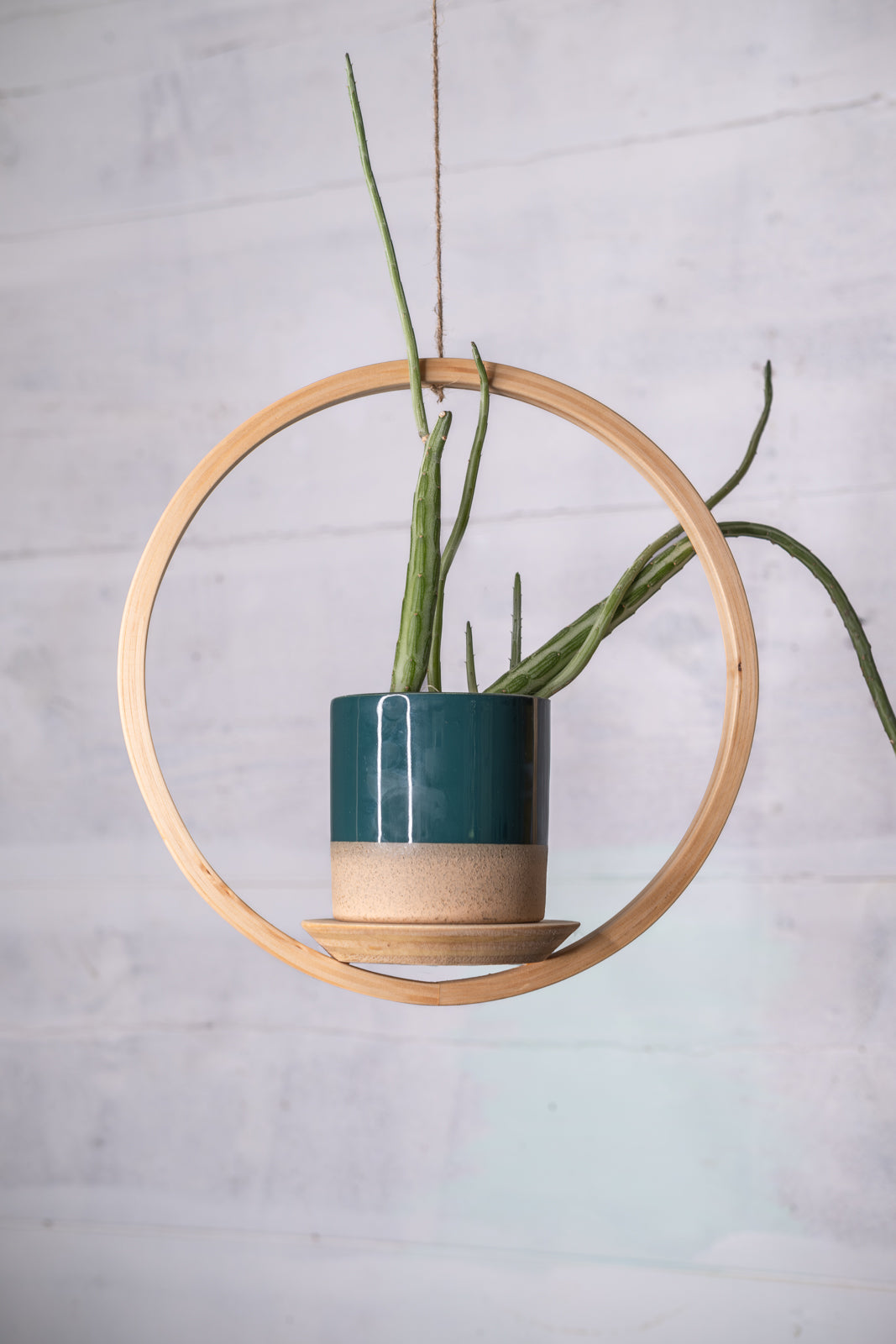 Bubble Hanger Bundle, Wooden Plant Hanger, Circle Hanger, Planter With Saucer, Air Plant Hanger, Boho, Mid Century Modern Planter