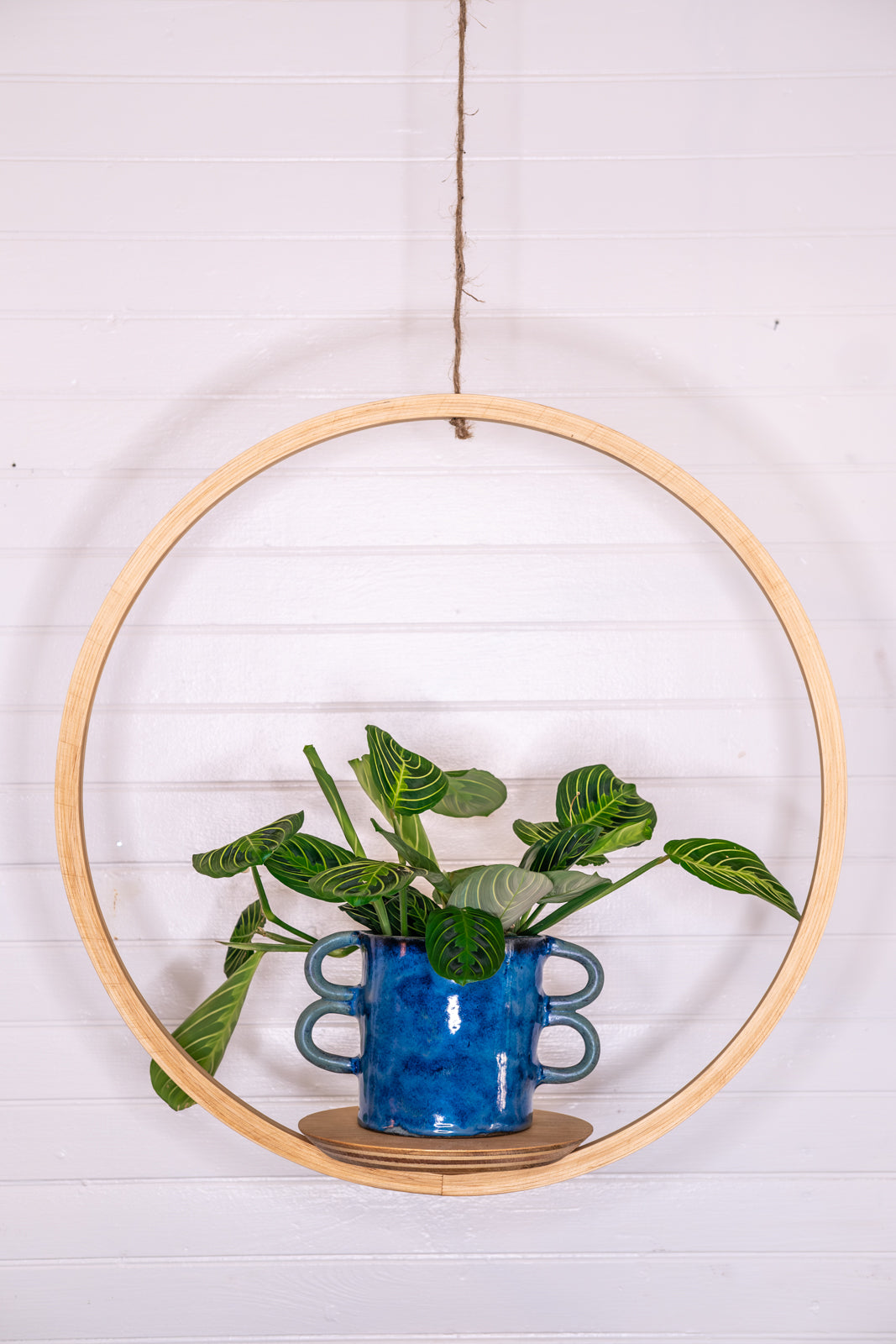 plant hanger