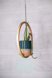 plant hanger