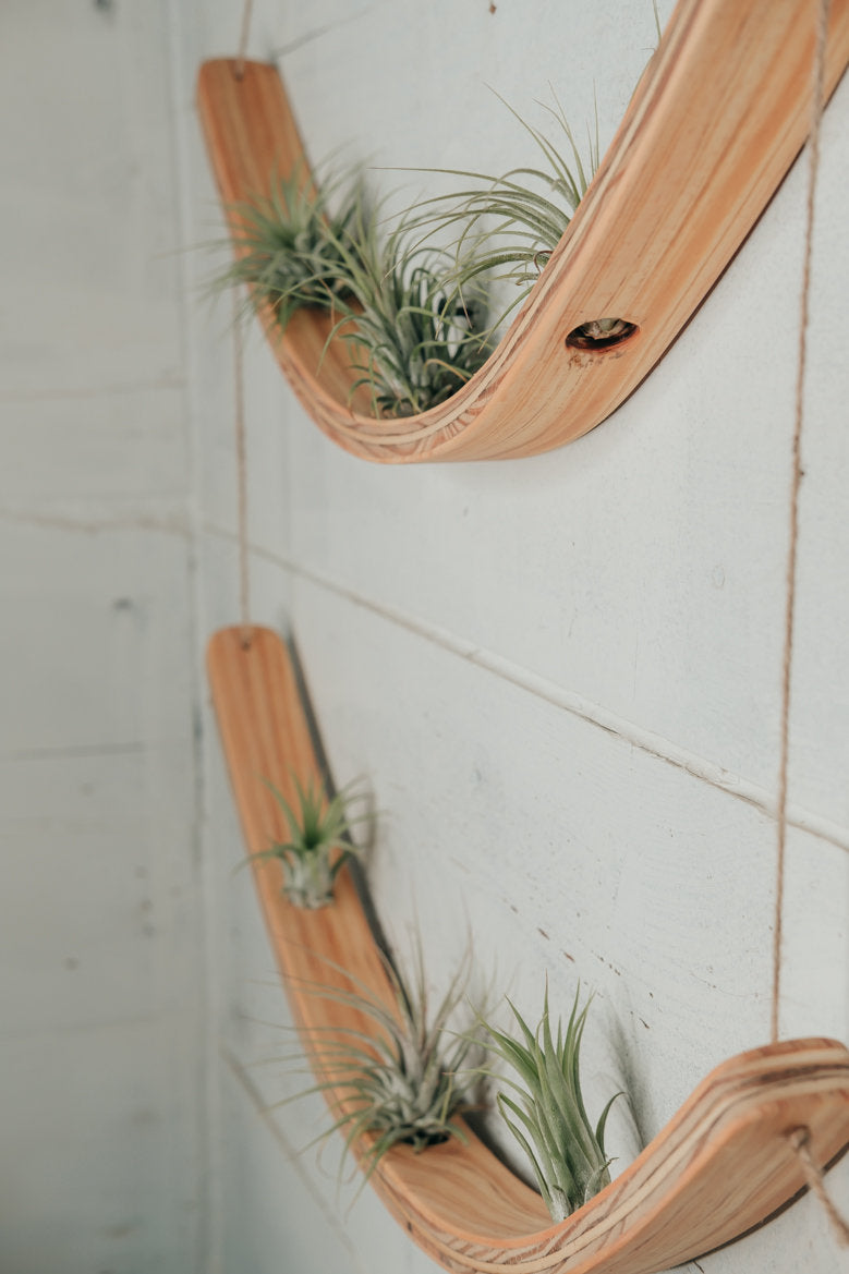 2 Tier Air Plant Hanger